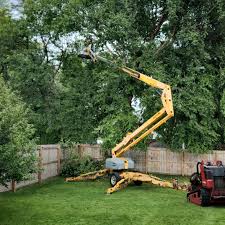 Best Tree Mulching  in Prices Fork, VA